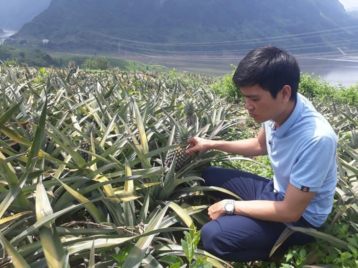 Lai Châu: Phát triển nông nghiệp hàng hóa hoàn thành mục tiêu chương trình xây dựng nông thôn mới- Ảnh 2.
