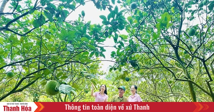 Kịp thời giải ngân nguồn vốn tín dụng ưu đãi cho hộ nghèo và các đối tượng chính sách