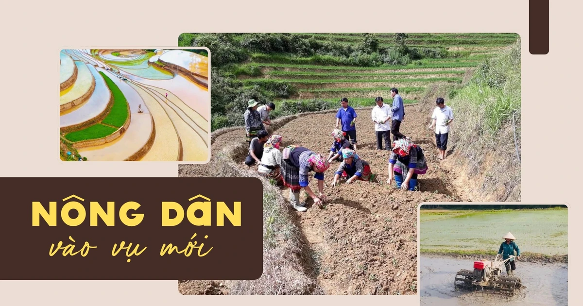 Nông dân vào vụ mới