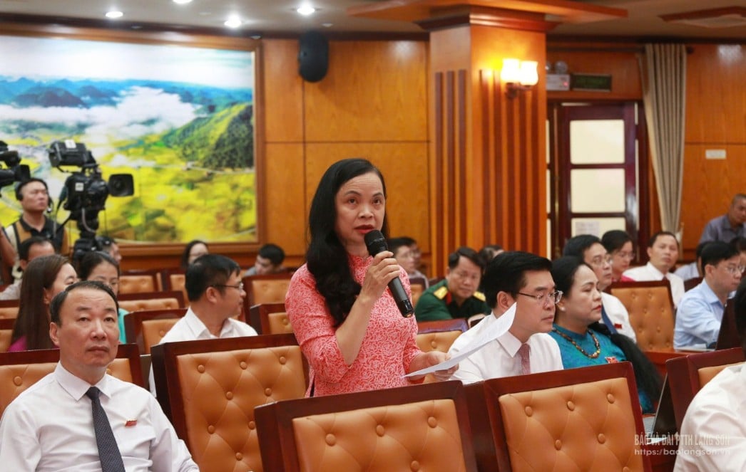Đại biểu HĐND tỉnh nêu câu hỏi chất vấn tại kỳ họp