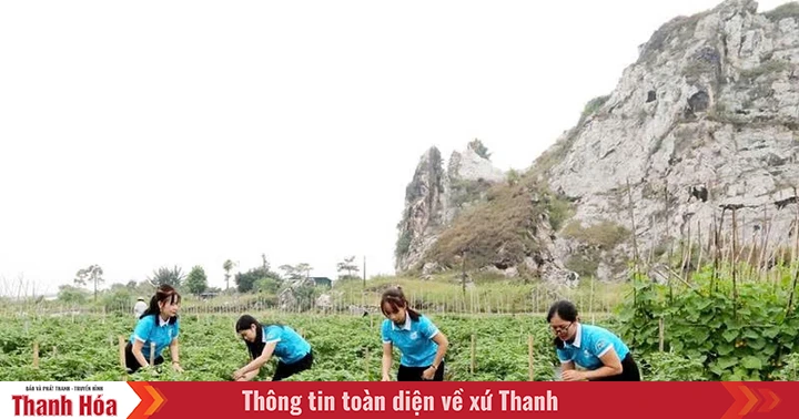 Hỗ trợ HTX do phụ nữ tham gia quản lý