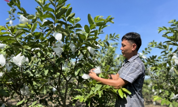 Quang La strives to achieve model new rural commune before 2030