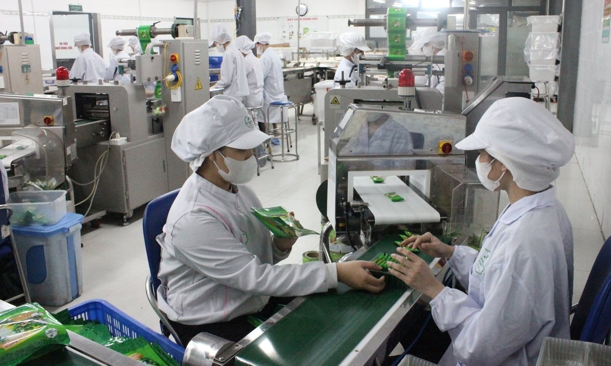 Dây chuyền sản xuất bánh dừa nướng mè khép kín của Mỹ Phương Food. Ảnh: Lan Anh.