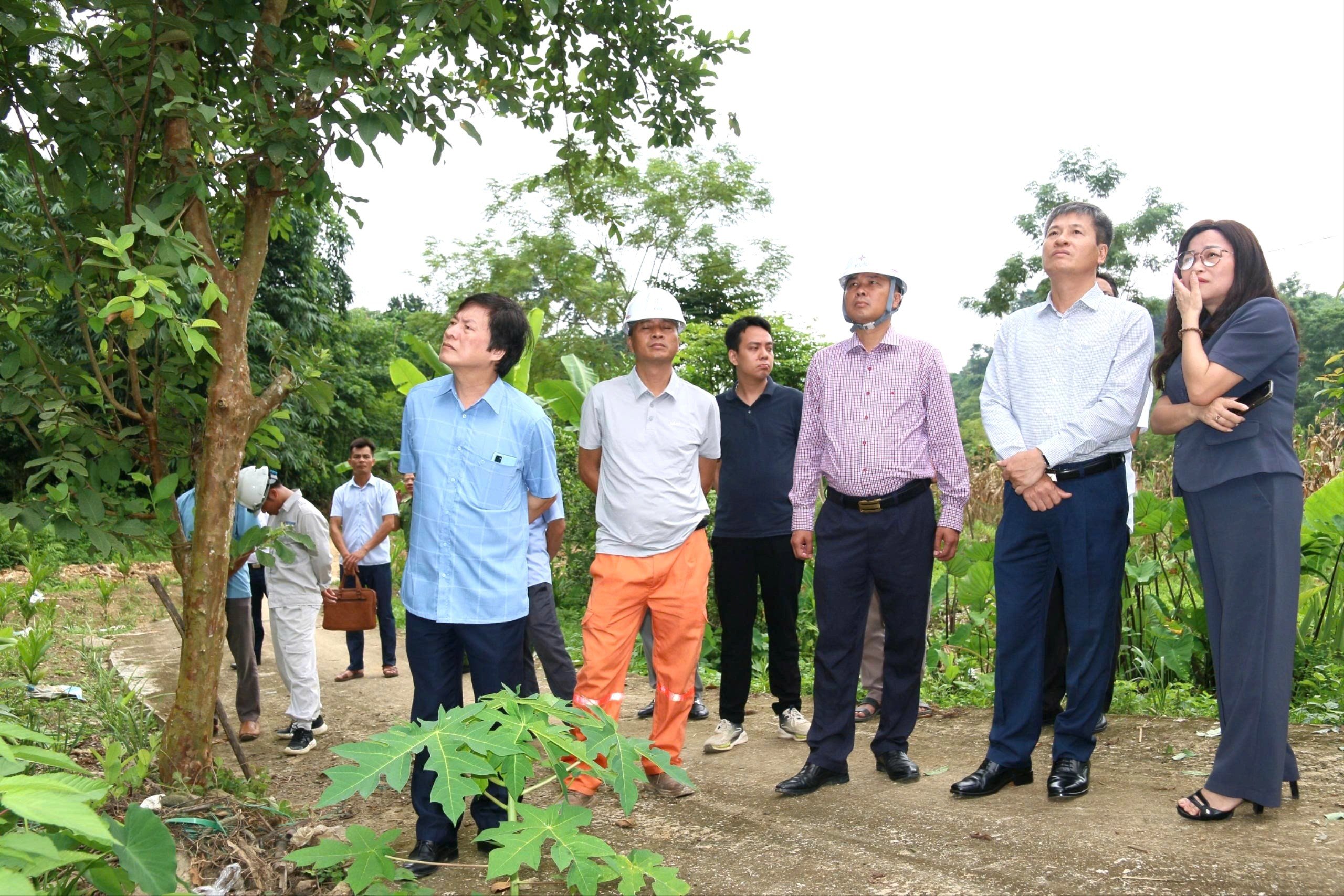 anh-hao-thon-lang-ray-xa-cam-nhan-4894.jpg