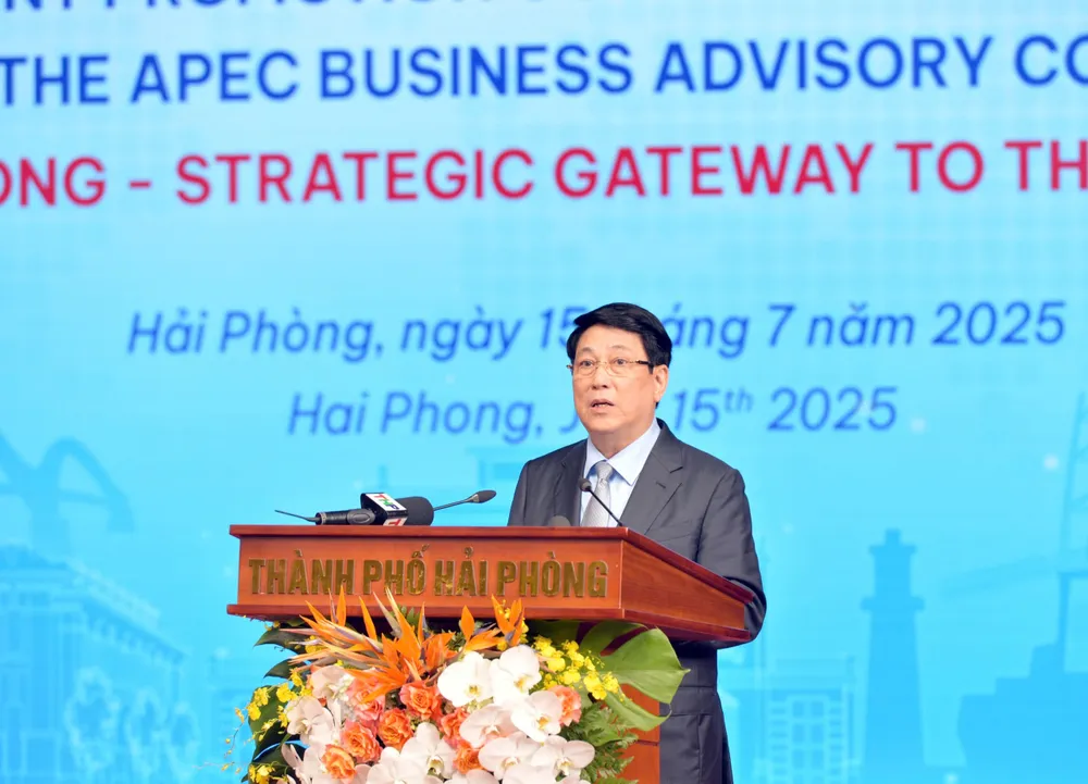 Strong institutional reform to attract strategic investors