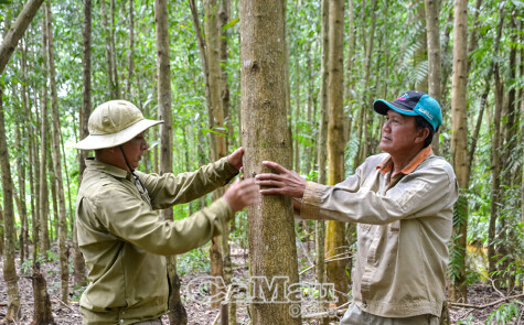 ការចាប់ផ្តើមសក្តានុពលនៃការលក់ឥណទានកាបូន