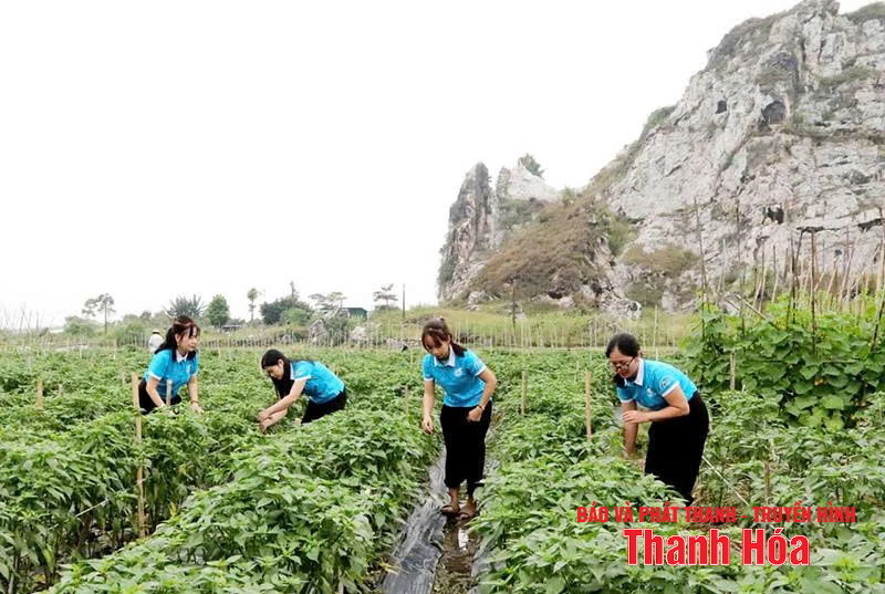 គាំទ្រសហករណ៍ដែលគ្រប់គ្រងដោយស្ត្រី