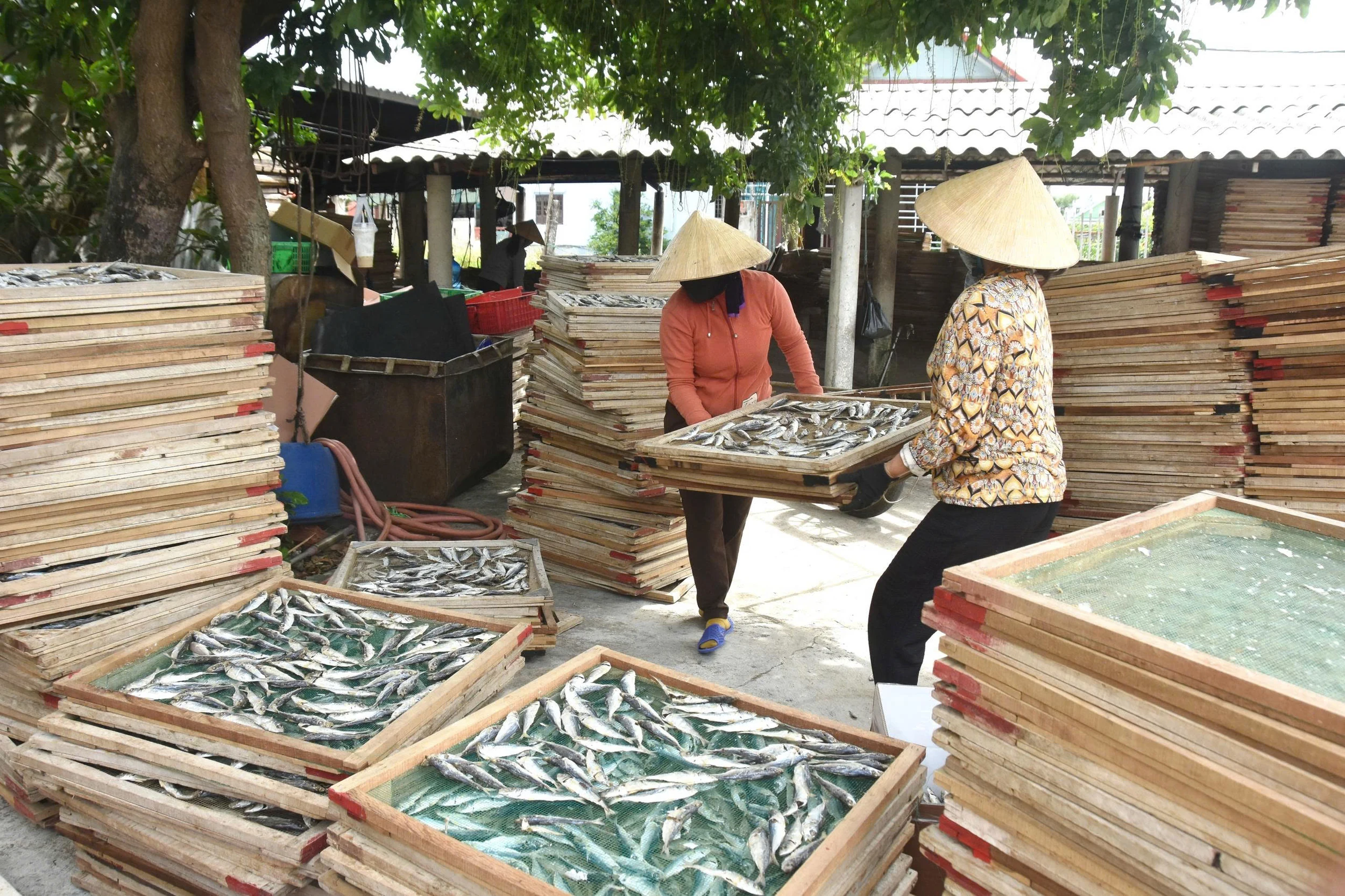 Concerns about fish steaming profession in Cua Viet commune