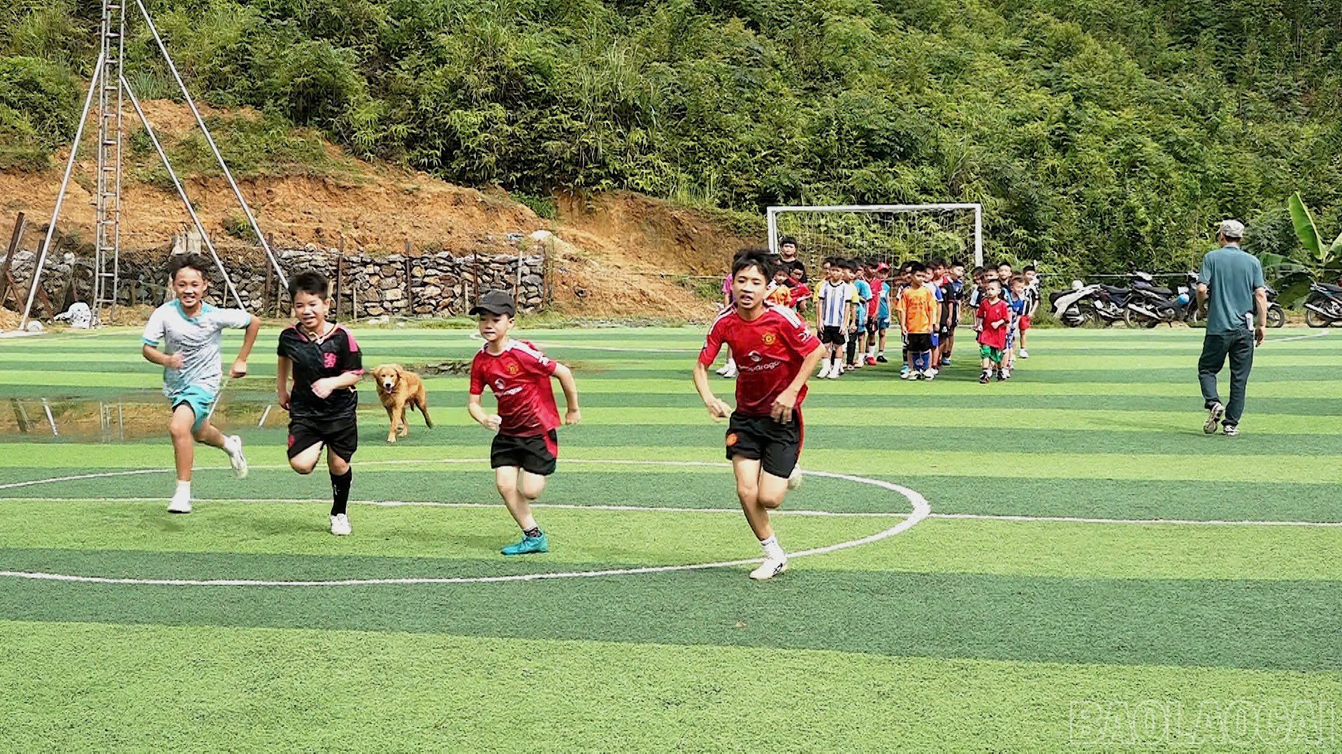 baolaocai-br_44.jpg
