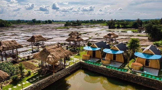 Đắk Lắk: Hoạt động du lịch trong 6 tháng đầu năm 2025 đạt nhiều kết quả - Ảnh 1.