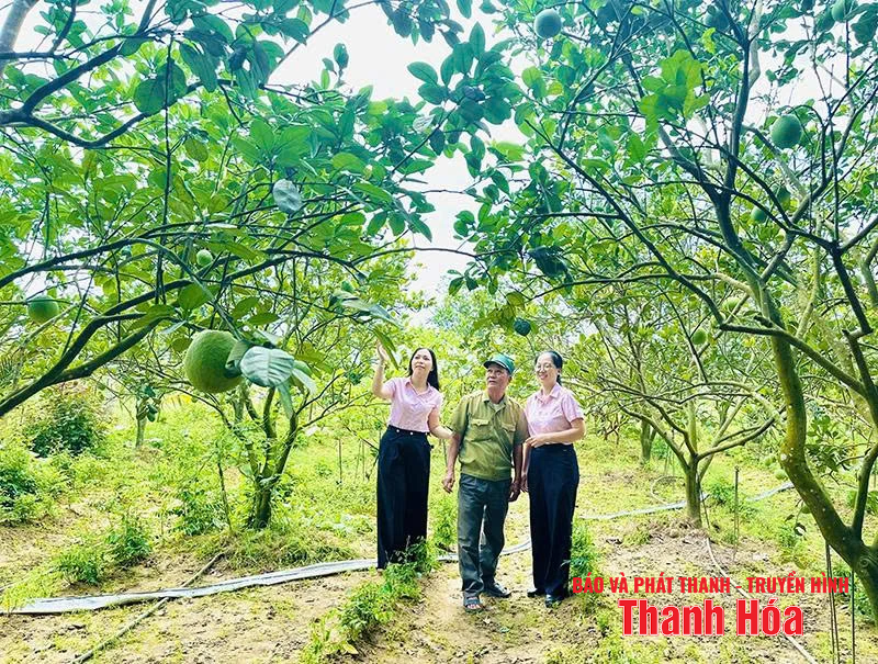 ការផ្តល់ទាន់ពេលវេលានៃមូលធនឥណទានអនុគ្រោះសម្រាប់គ្រួសារក្រីក្រ និងអ្នកទទួលផលគោលនយោបាយ