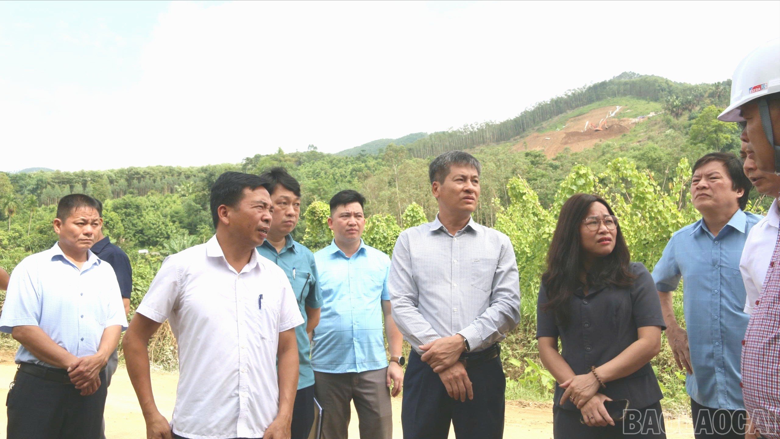 baolaocai-br_ban-van-que-cam-nhan-8800.jpg