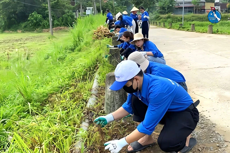 “ Mùa hè xanh 2025 ” - rực rỡ tại Điền Quang