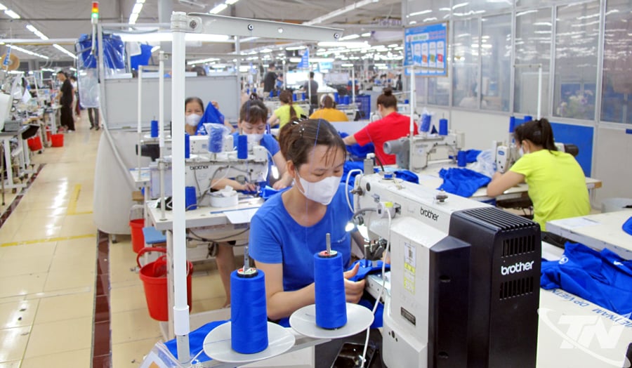 May mặc là một trong nhiều lĩnh vực duy trì đơn hàng và giữ đà tăng trưởng tốt.
