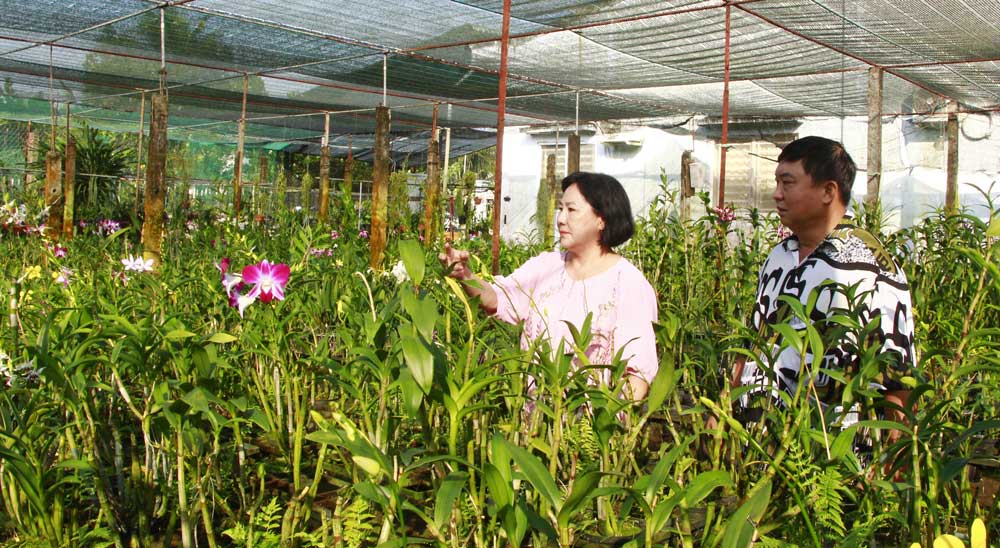 Lực lượng khuyến nông triển khai nhiều mô hình trình diễn và đem lại hiệu quả kinh tế cao cho nông dân.