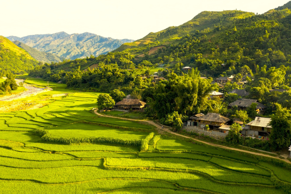 ទេសចរណ៍ Tu Le៖ ស្វែងយល់ពីជ្រលងភ្នំមាសនៅចំកណ្តាលភាគពាយ័ព្យ