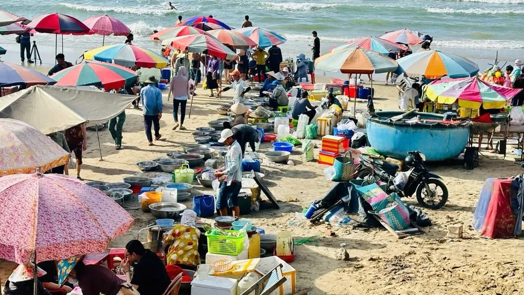 ស្នើ​ឱ្យ​បញ្ឈប់​ផ្សារ​លក់​គ្រឿង​សមុទ្រ​ដោយ​ឯកឯង​នៅ​ឆ្នេរ Thuy Tien
