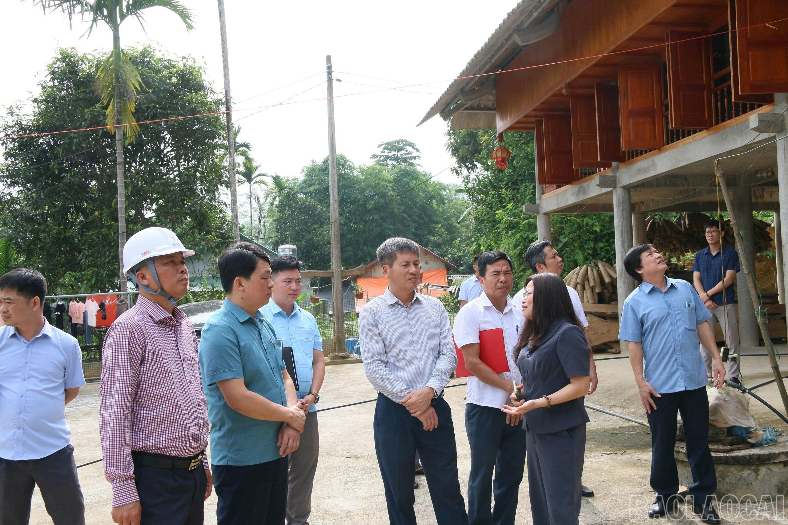 baolaocai-br_anh-cam-nhan.jpg