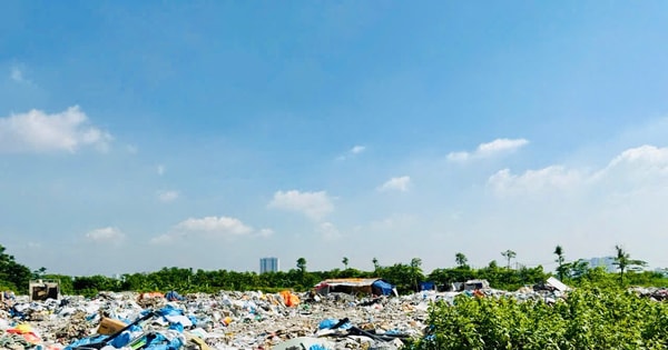 Xã Thanh Trì xử lý dứt điểm vi phạm đất nông nghiệp Khu tây làng
