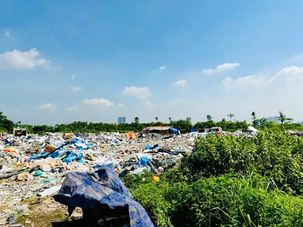 Thanh-tri-1.jpg
