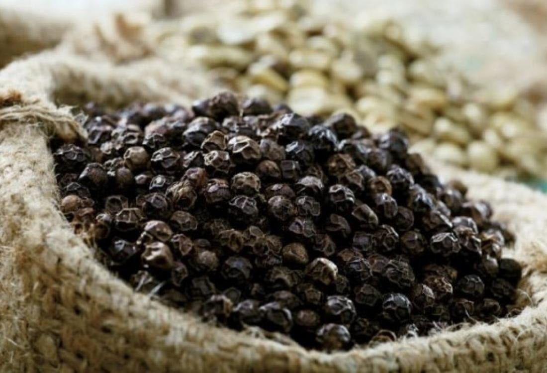 Pepper price forecast tomorrow 7/17/2025 It is difficult to create a new breakthrough