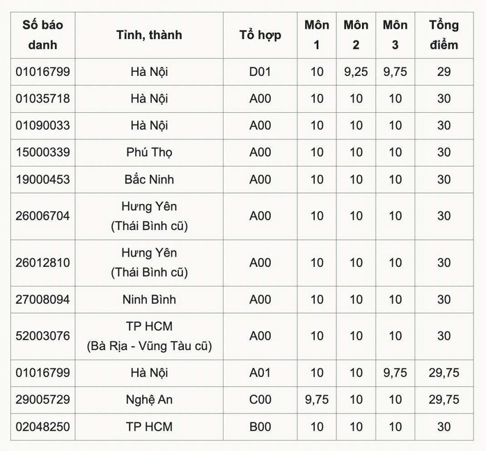 Chân dung thủ khoa khối A của TP HCM đạt điểm tuyệt đối 30/30- Ảnh 2.