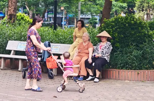Bộ Y tế nói gì về đề xuất trợ cấp cho người từ 70 tuổi thay vì 75 tuổi?