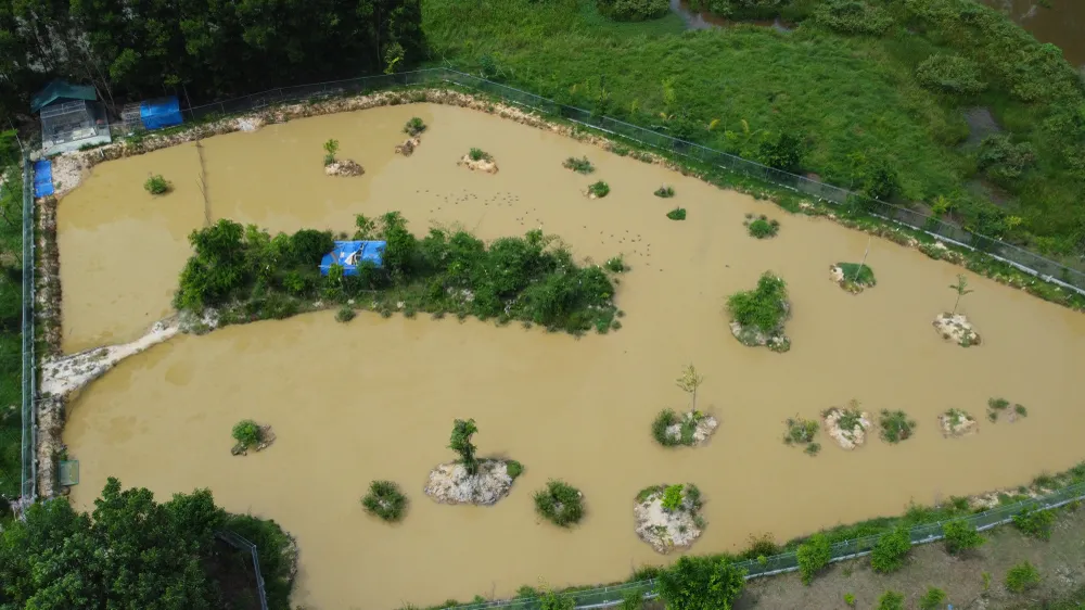 DJI_0557.JPG