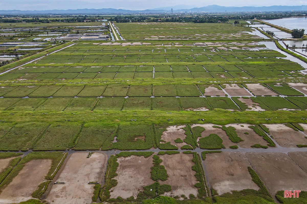 Nằm liền kề khu vực nuôi trồng thủy sản là diện tích 30,8 ha đất làm muối đã được chuyển đổi sang nuôi trồng thủy sản nhằm phù hợp với quy hoạch định hướng phát triển, nâng cao giá trị sản phẩm.
