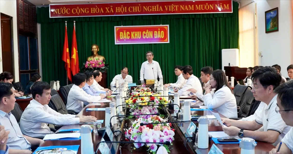 Ho Chi Minh City discusses solutions for healthcare development in Con Dao special economic zone