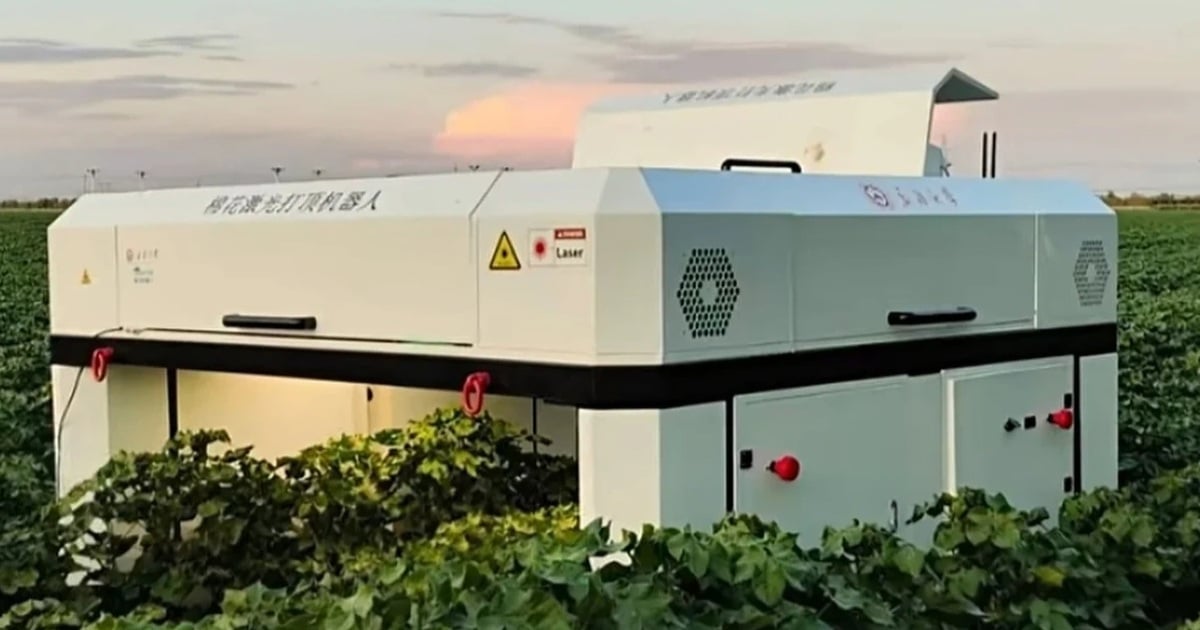 Trung Quốc cách mạng hóa nông nghiệp bằng robot cắt ngọn