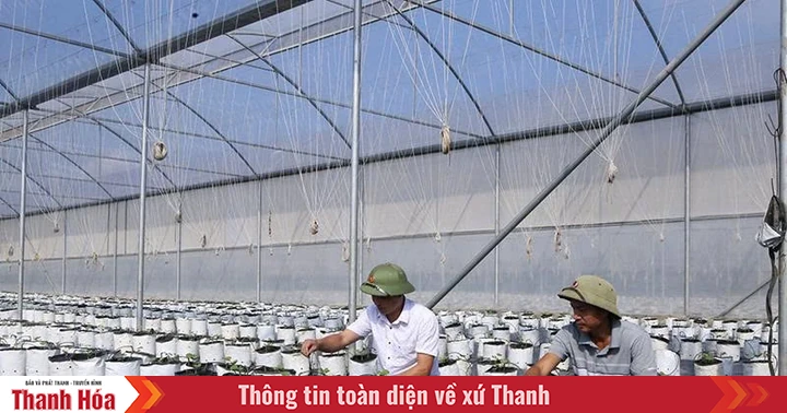 Chuyển đổi cơ cấu cây trồng thích ứng với biến đổi khí hậu