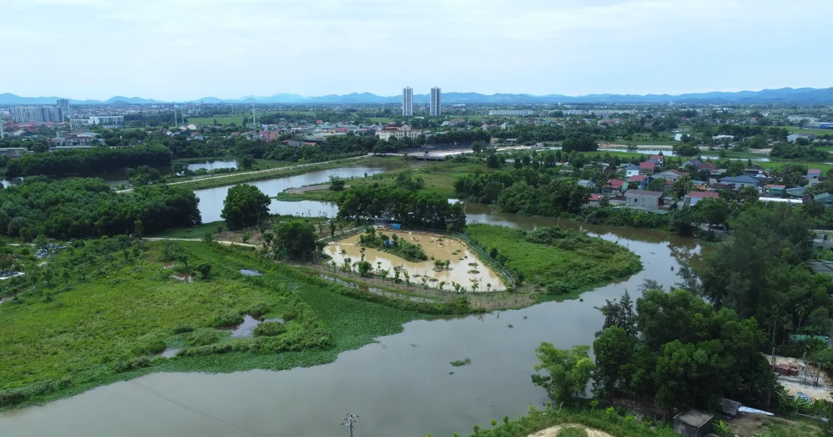 Độc đáo vườn chim nhân tạo ở bờ sông Đông