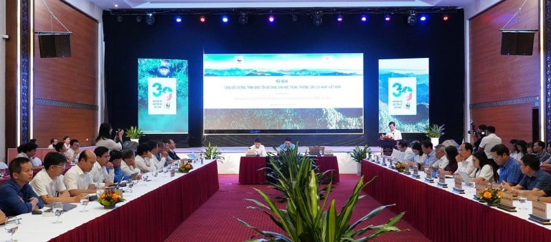 Quảng Trị và WWF Việt Nam mở rộng hợp tác chiến lược vì phát triển bền vững