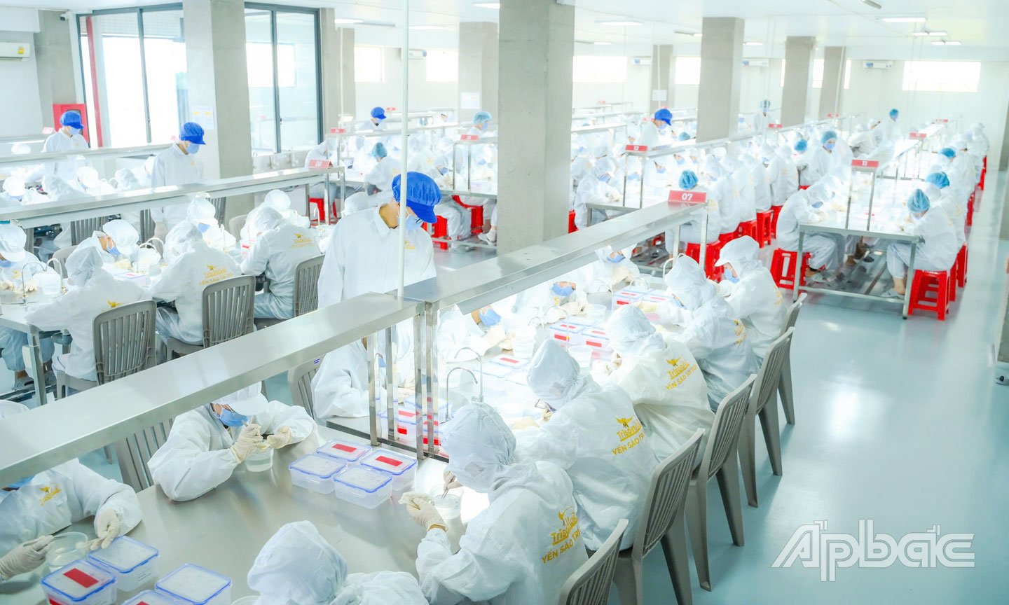 Công ty TNHH TMDV Trí Sơn đang đẩy mạnh xây dựng chuỗi liên kết giữa các nhà nuôi yến.