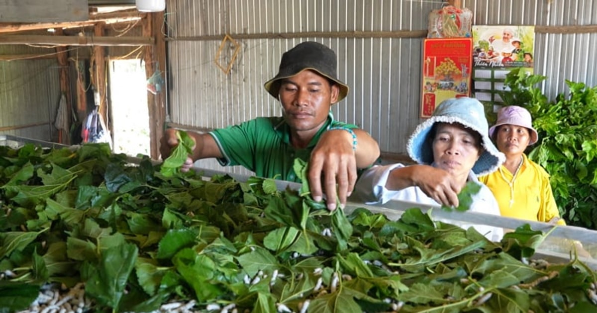 អនុប្រធានមន្ទីរកសិកម្ម និងបរិស្ថានខេត្ត Lam Dong៖ ដំណោះស្រាយចំនួន ៥ សម្រាប់ការកាត់បន្ថយភាពក្រីក្រប្រកបដោយនិរន្តរភាពនៅតំបន់ជនបទ