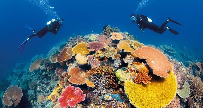Kinh nghiệm du lịch Queensland cho du khách đến lần đầu - Ảnh 7.