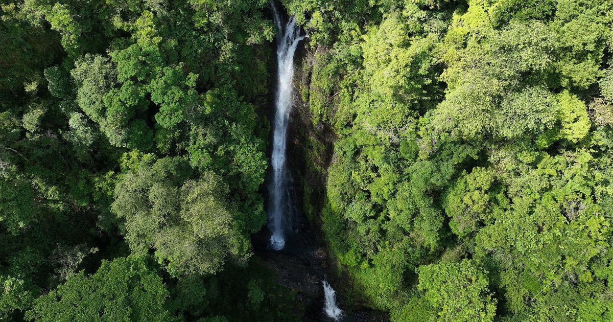 Zwei Wasserfälle im tiefen Wald im Westen von Quang Ngai entdeckt