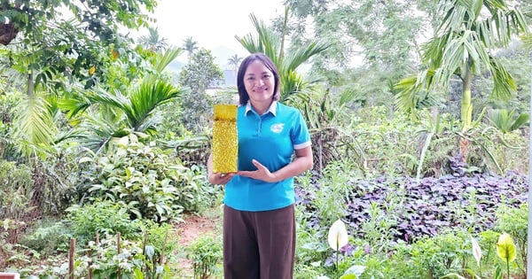 ពីភាពអៀនខ្មាស់ រហូតដល់ការលក់អនឡាញជោគជ័យ