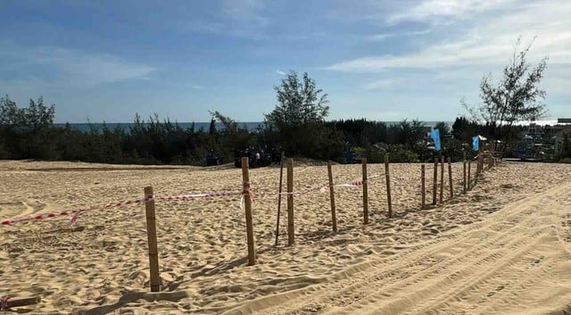 Đồi cát phục vụ du lịch ở Quang Phú bị rào bằng… cọc tre- Ảnh 1.