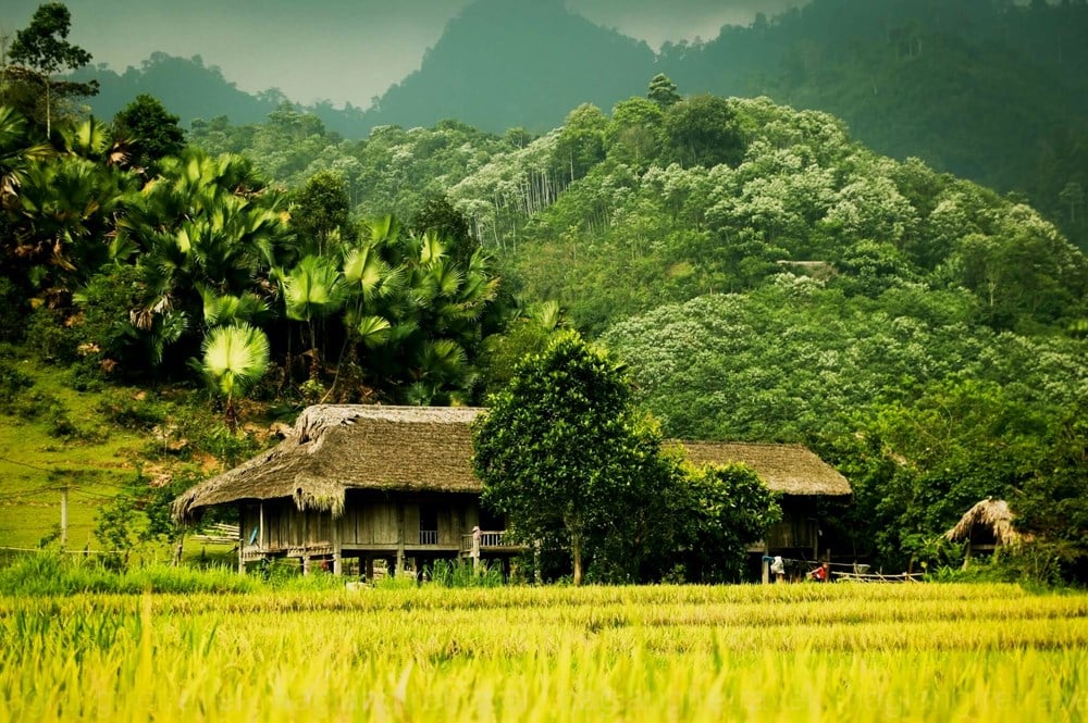 Du lịch Việt Nam và bài toán phát triển bền vững - Ảnh 1.