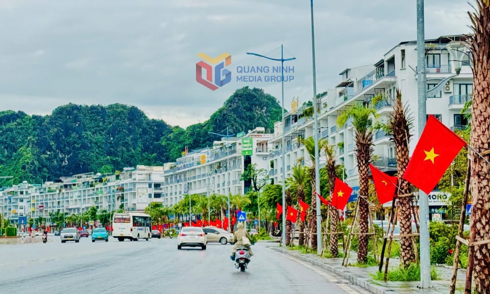 Một đoạn tuyến đường Trần Quốc Nghiễn đi qua phường Hạ Long.