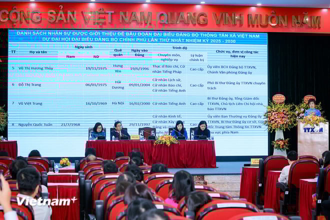 vnp-dhoi-chieu-3.jpg