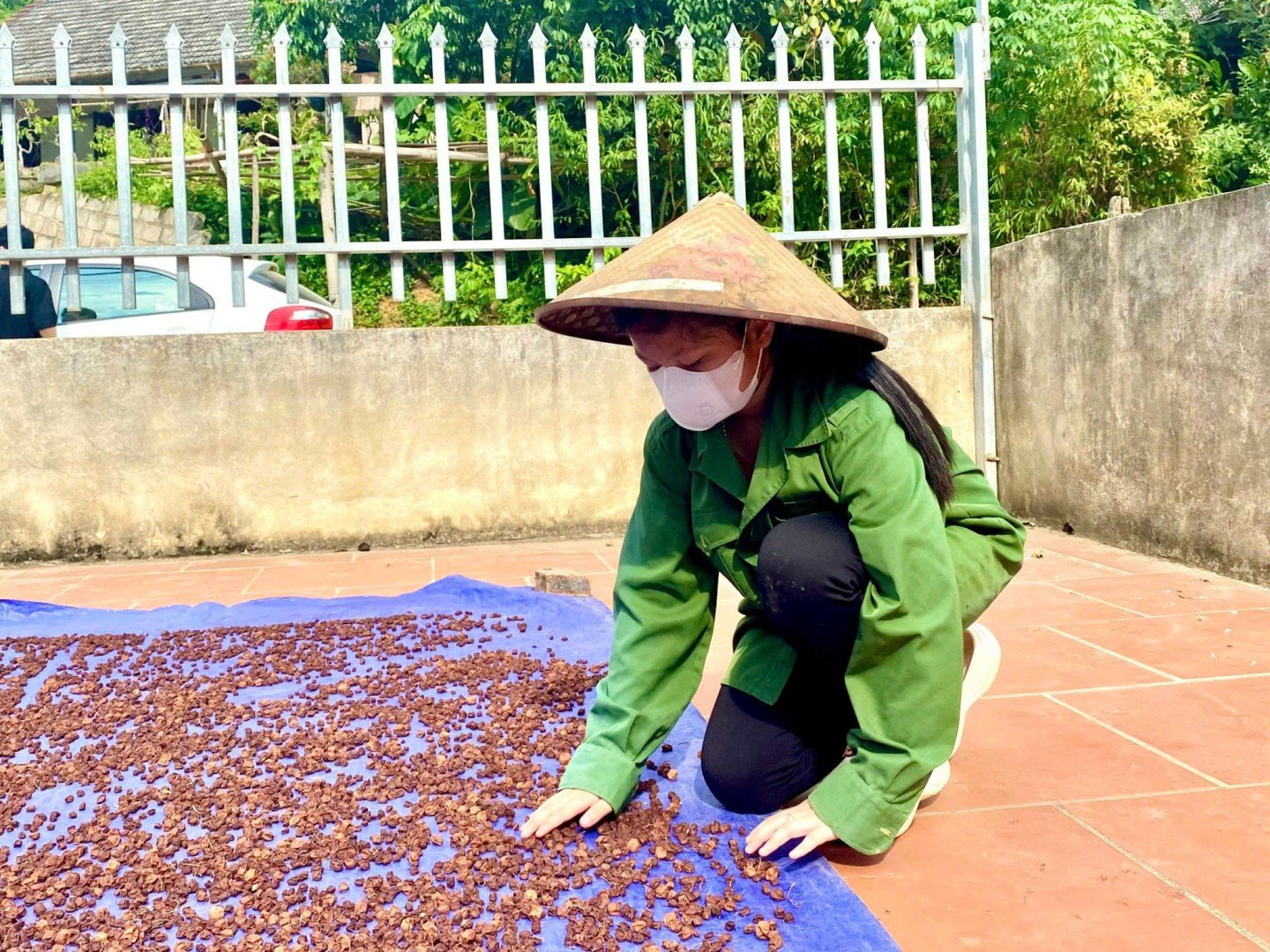 Người dân xã Bình Gia phơi khô quả mắc mật