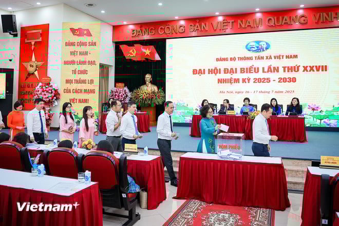 vnp-dhoi-chieu-8.jpg