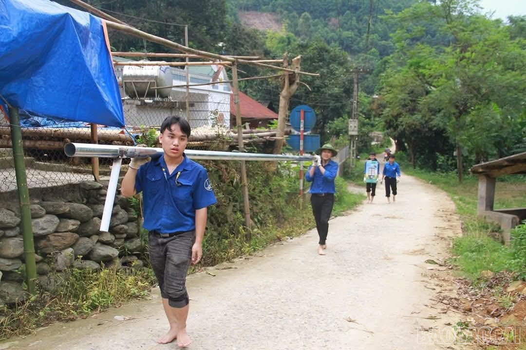 baolaocai-br_fb-img-1752742702917.jpg