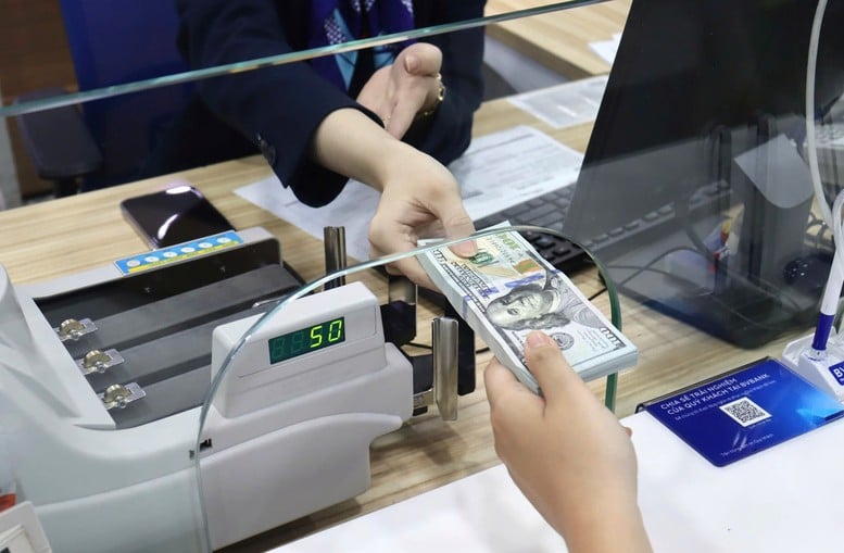 Kiều hối chuyển về TPHCM trong 6 tháng đầu năm đạt 5,23 tỷ USD- Ảnh 1.