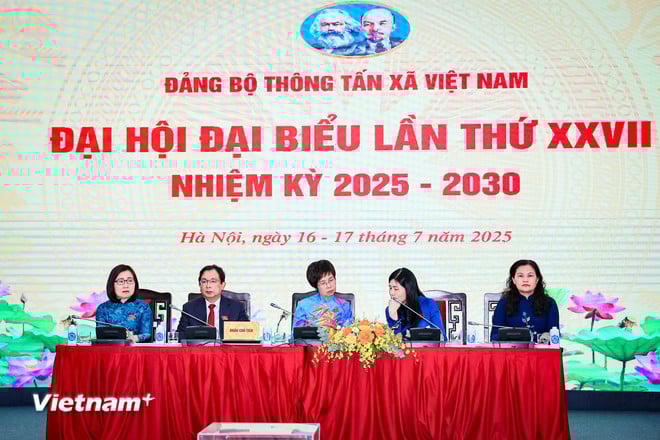 vnp-dhoi-chieu-4.jpg
