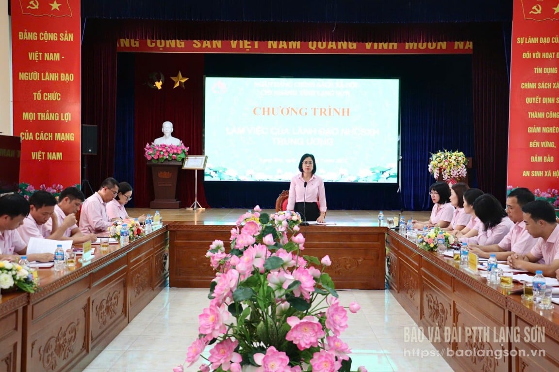 Bà Lê Thị Đức Hạnh, Phó Tổng Giám đốc NHCSXH Trung ương phát biểu tại buổi kiểm tra
