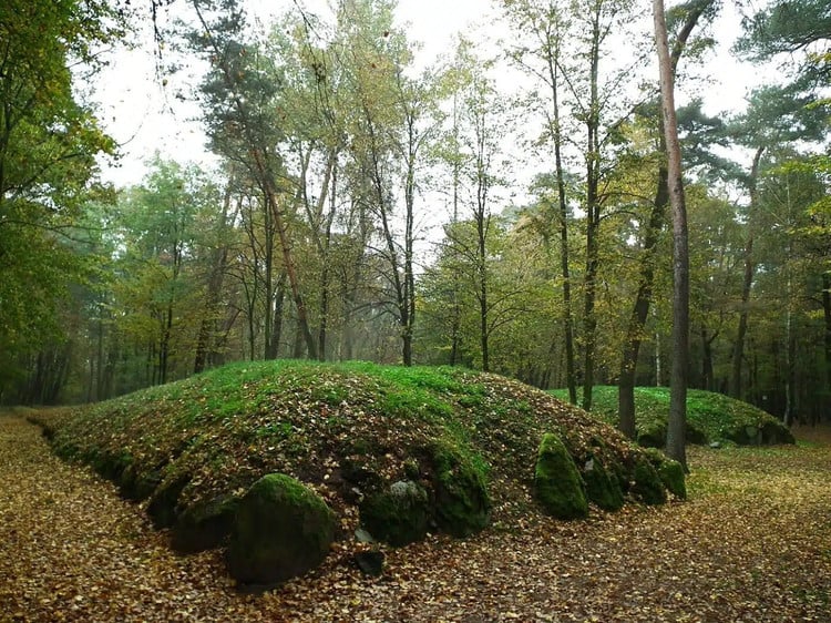 hienvat-5.jpg